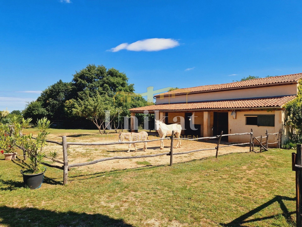 Avtentično posestvo s kamnito hišo in velikim zemljiščem